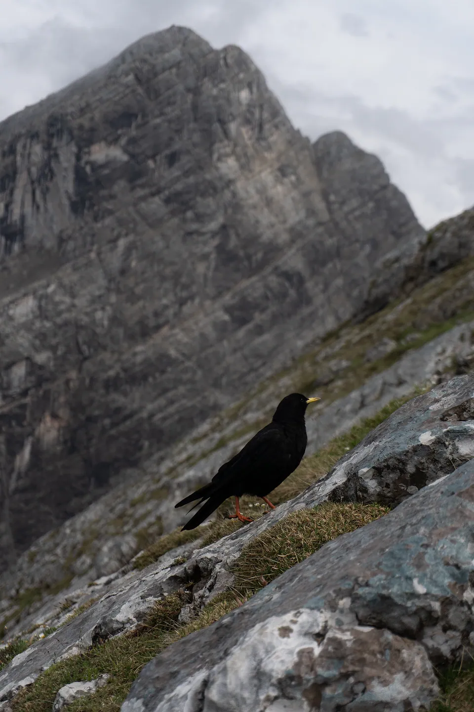 Berchtesgaden, photo 11