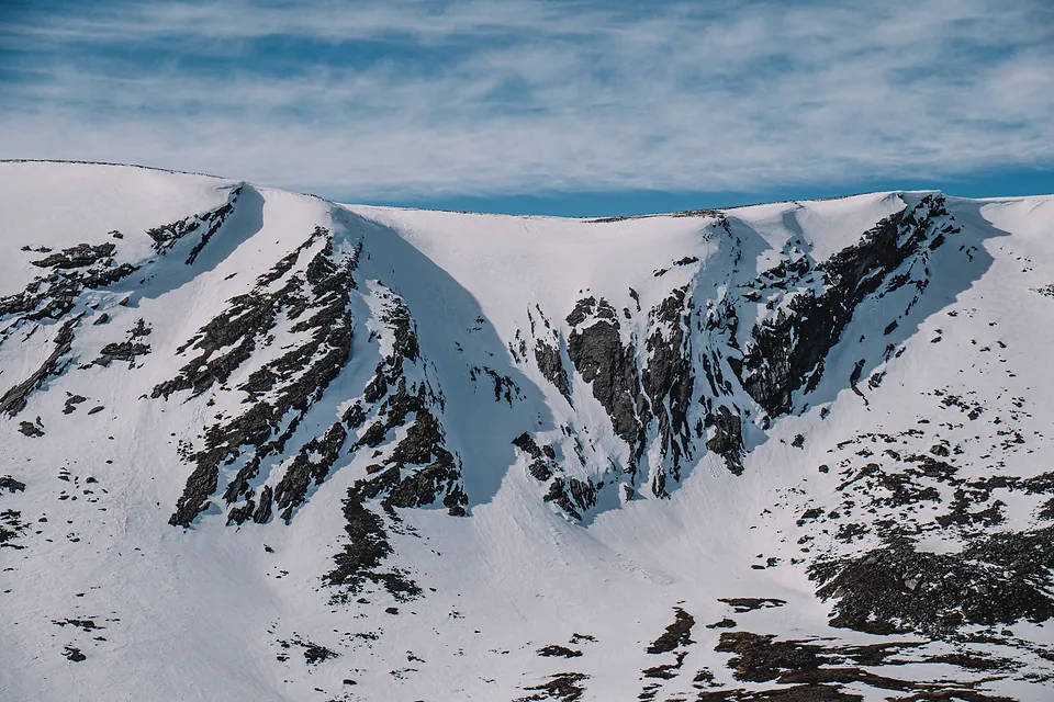 Musk Oxen of Dovrefjell, photo 7