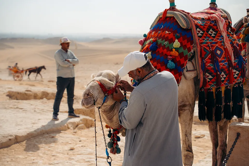 Egypt, photo 13