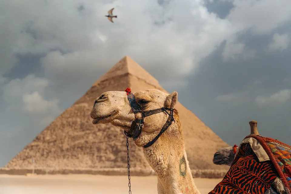 Egypt, photo 12