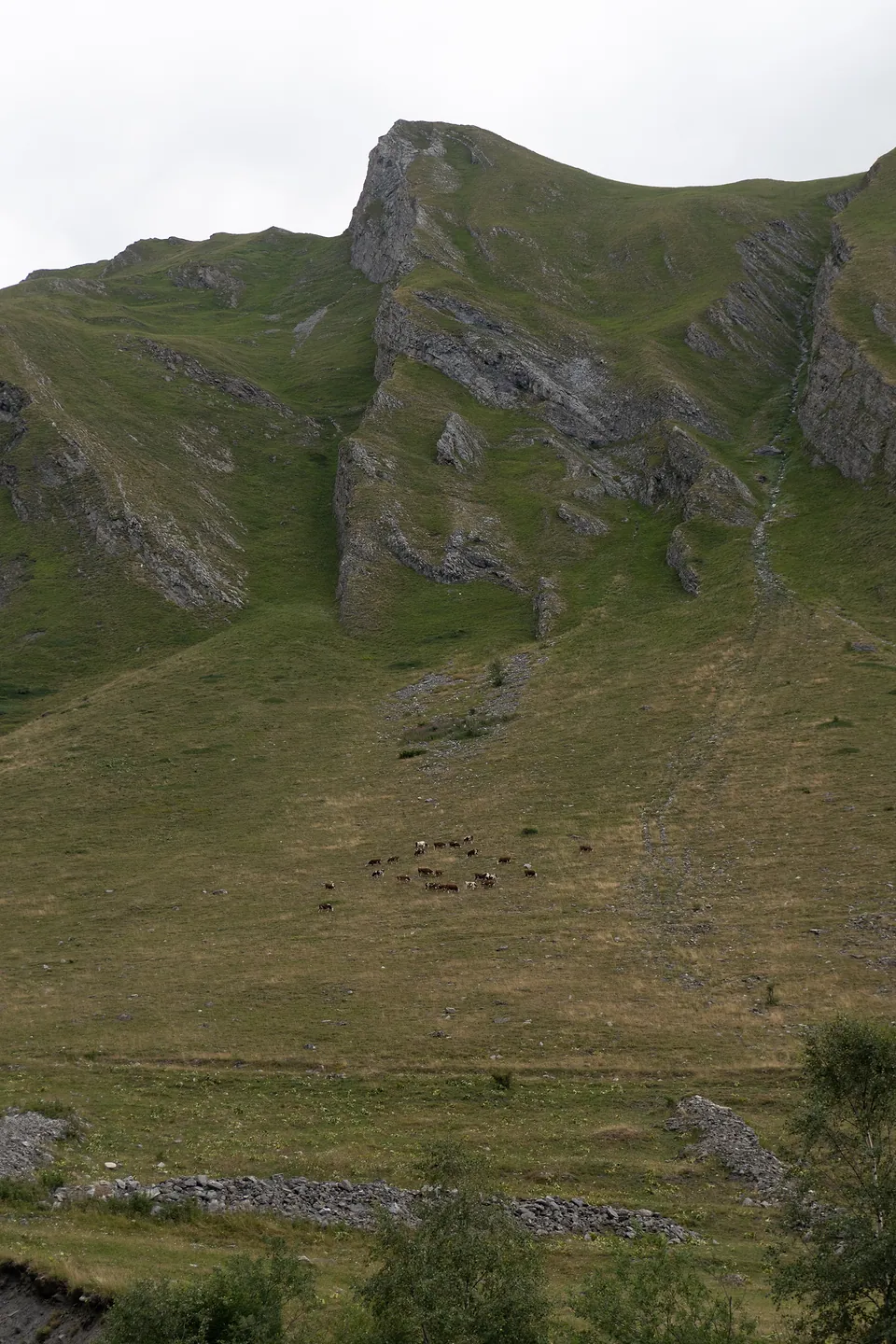 Italy, photo 7