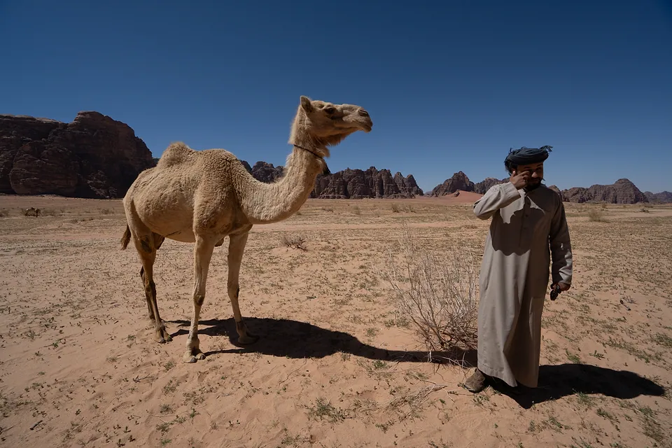 Jordan, photo 24
