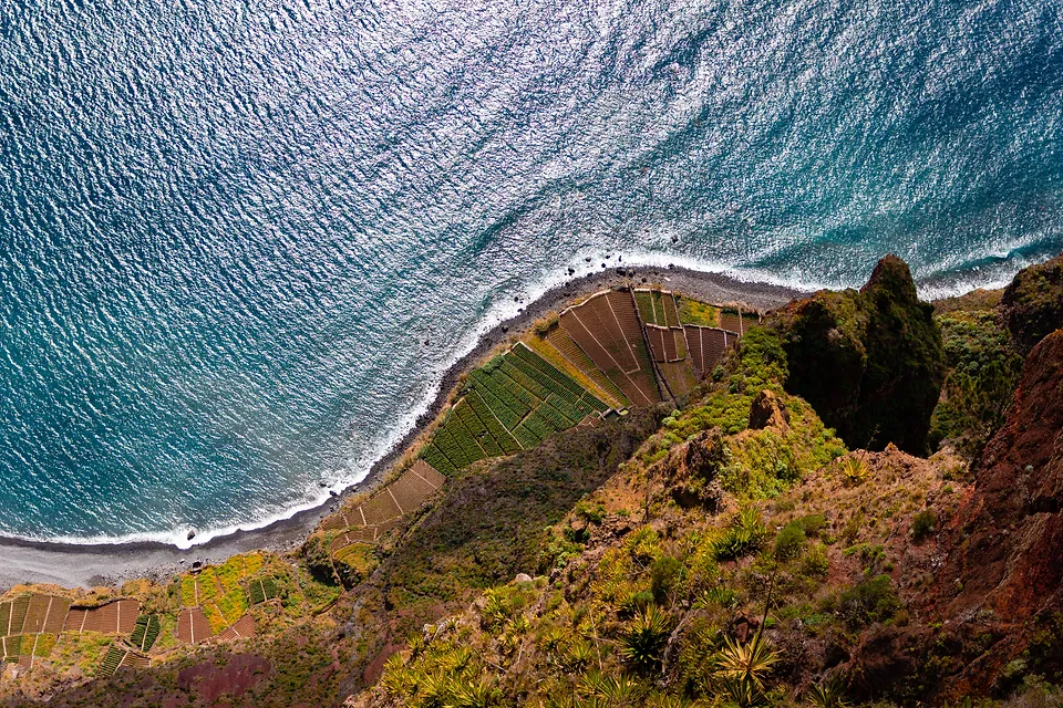 Madeira, photo 13