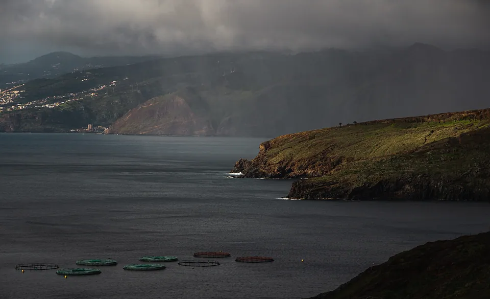 Madeira, photo 17