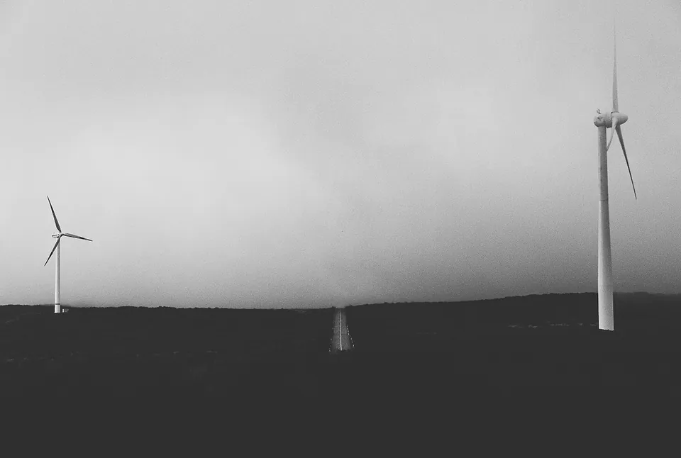 Madeira, photo 19