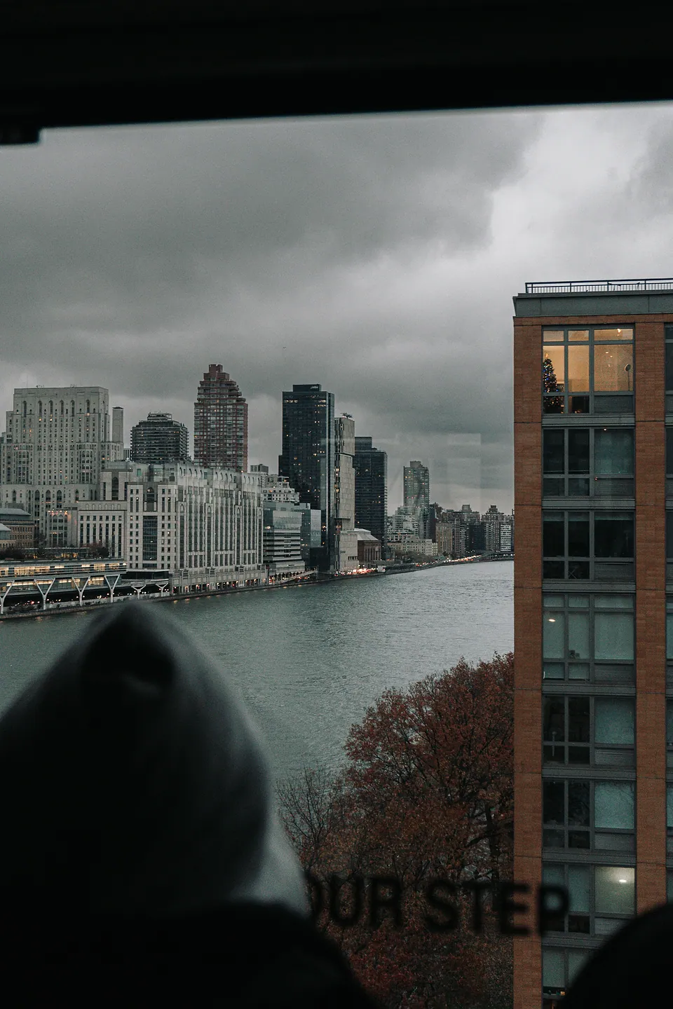 New York City, photo 5