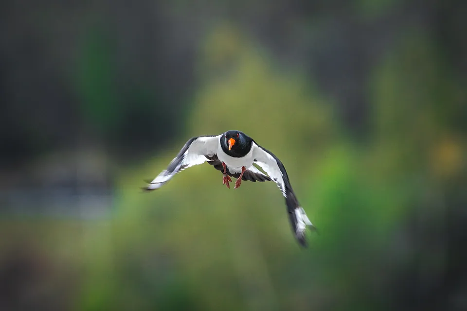 Norway, photo 11