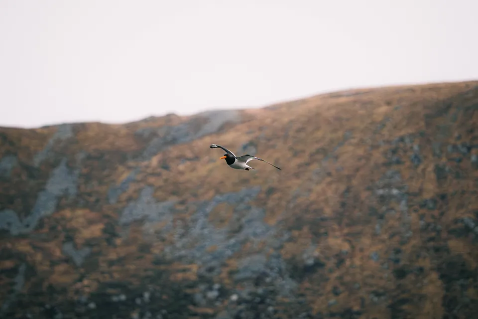 Norway, photo 20
