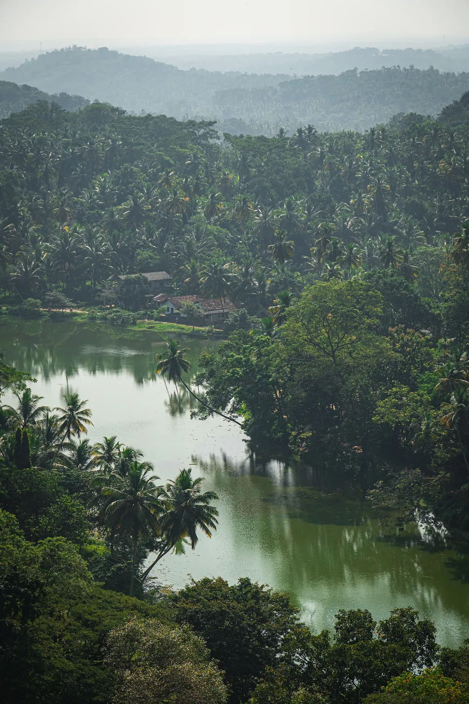 Sri Lanka, photo 10