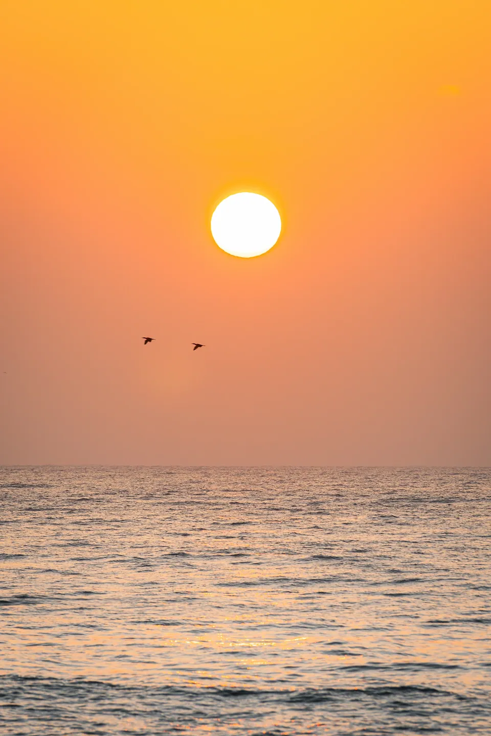 Sri Lanka, photo 2