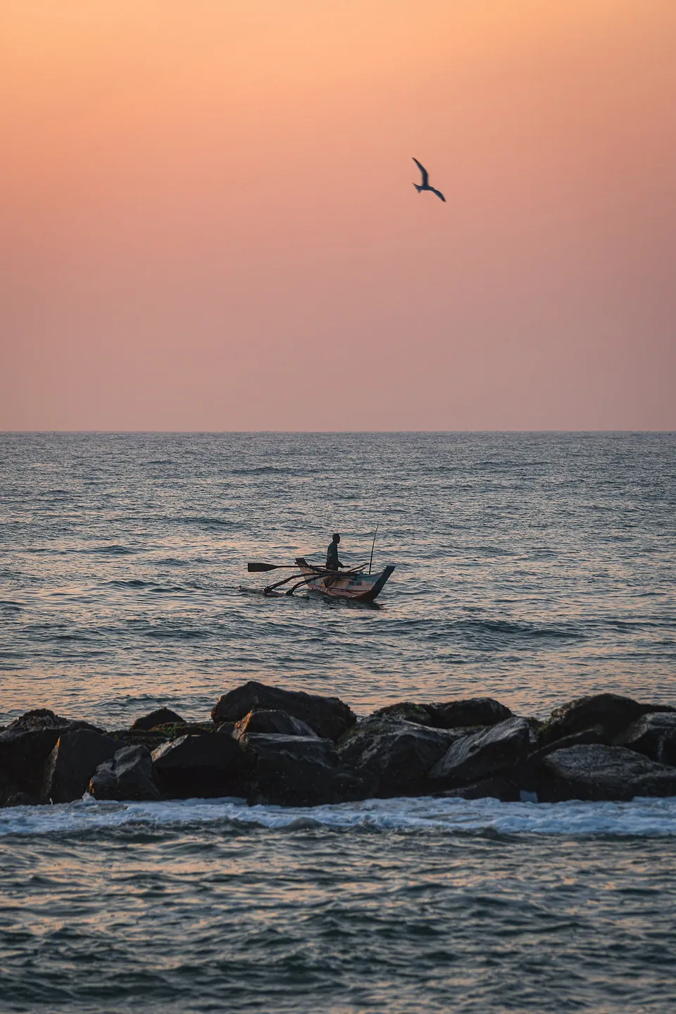 Sri Lanka, photo 9