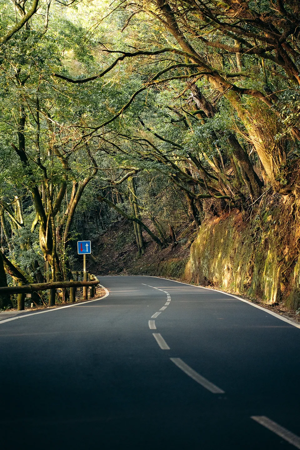 Tenerife, photo 6