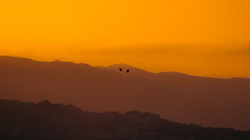 Tenerife, photo 16