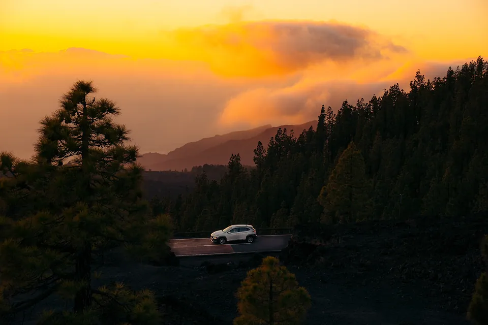 Tenerife, photo 12