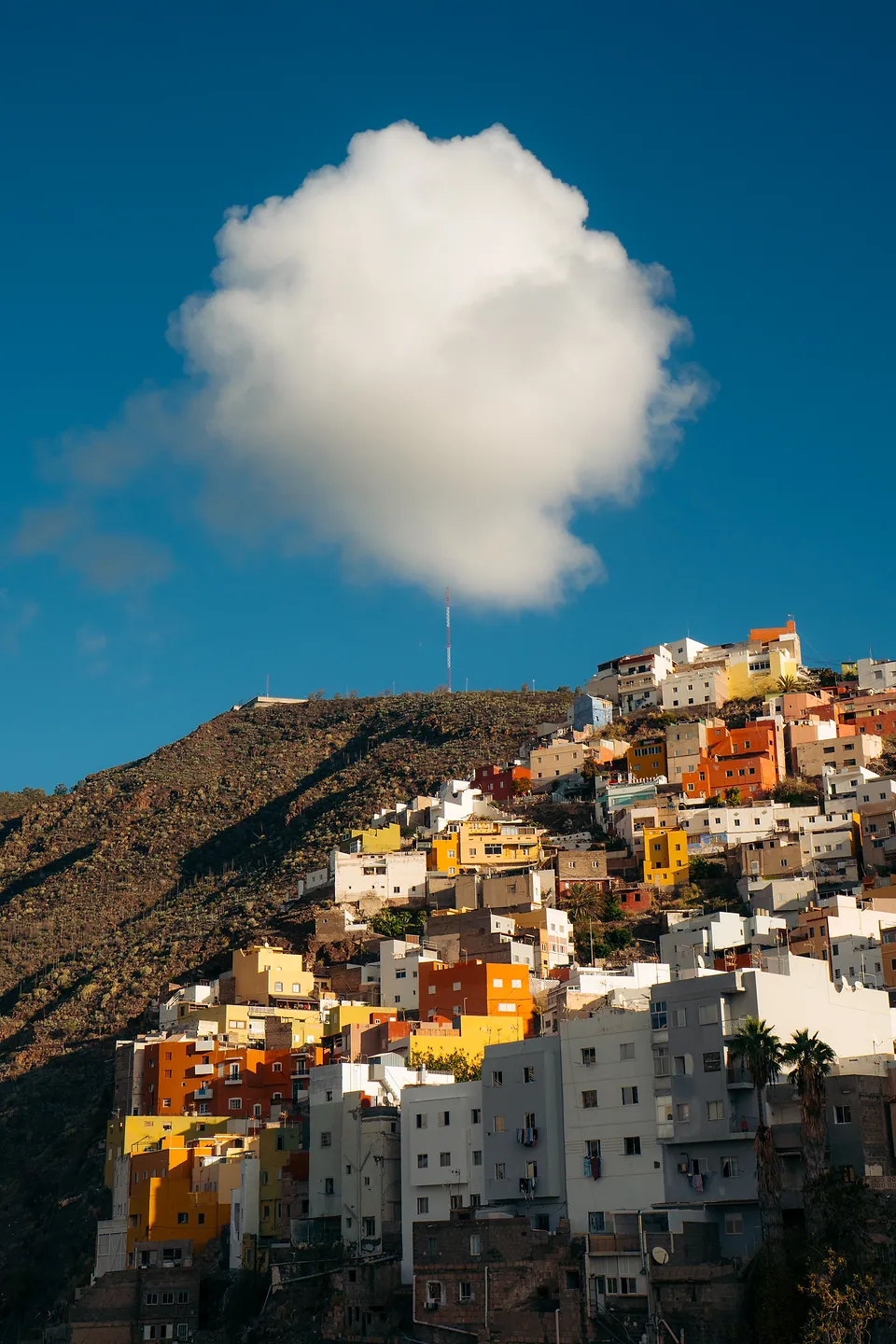 Tenerife, photo 7