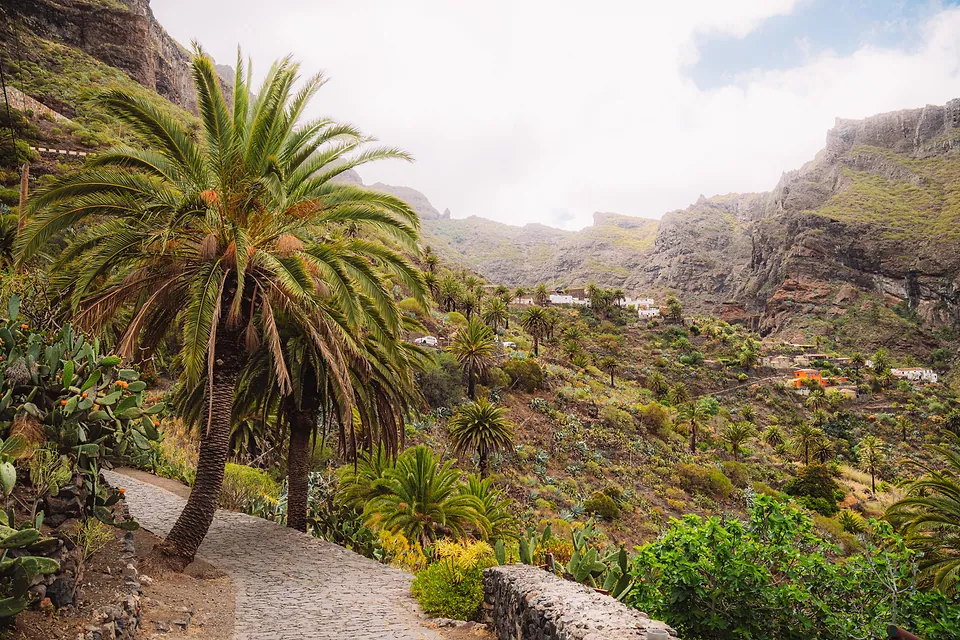 Tenerife roadtrip, photo 21