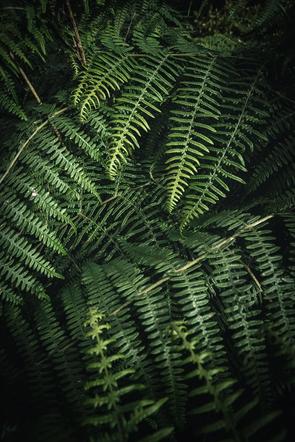 Tenerife roadtrip, photo 9